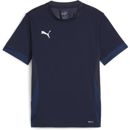 Puma TeamGoal wedstrijdshirt voor kinderen jr 705748