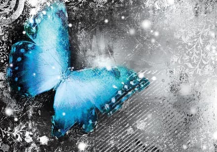 Butterflies Photo Wallcovering