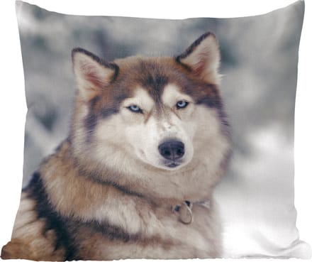 Sierkussens - Kussentjes Woonkamer - 60x60 cm - Portret van een Husky