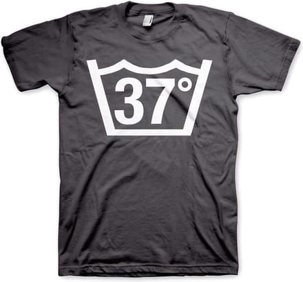 Hybris 37 Celcius Tee T-shirt donkergrijs