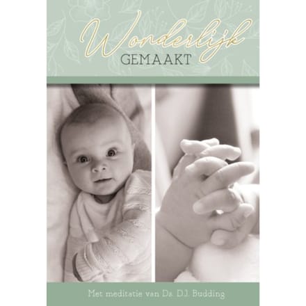 Wonderbaarlijk Gemaakt - D.J. Budding