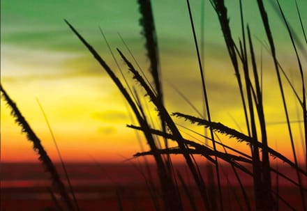 Fotobehang Beach Sunset | XL - 208cm x 146cm | 130g/m2 Vlies