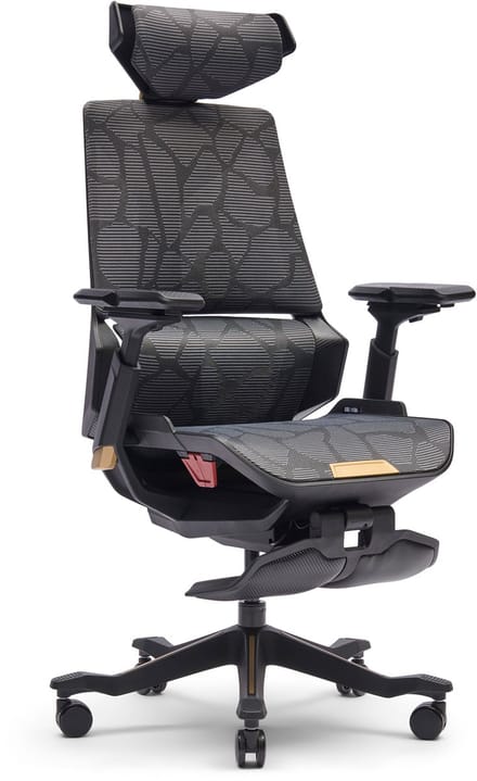 BloodDragon ergonomische gamingstoel, gold