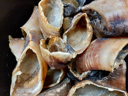 XXL Kalfshoeven - Runderhoeven - Hondensnack - 1kg