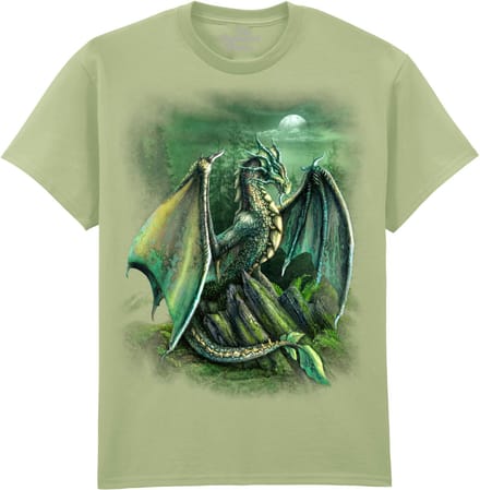 Draak Garwin Dragon The Coloured House T-shirt M
