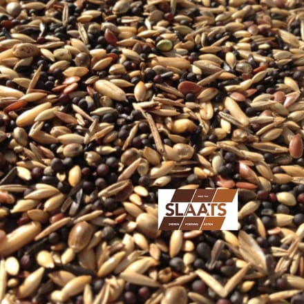 Slaats- Vogelvoer- Wildzangzaad- Europese vogels- 2 kilo