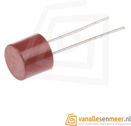 PCB Zekering T2A 250V – Snelwerkende Beveiligingszekering – Type 382