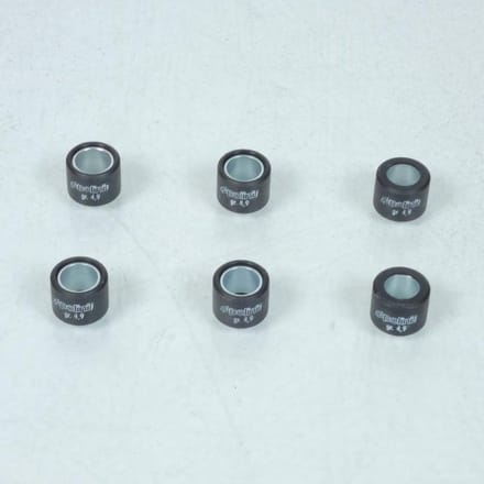 Variateurset compleet Polini voor scooter Peugeot Ludix 50 241.632.1 Nieuw