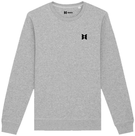 Radix - Trui - Heren - Kleur Grijs - Maat S - Met borstlogo