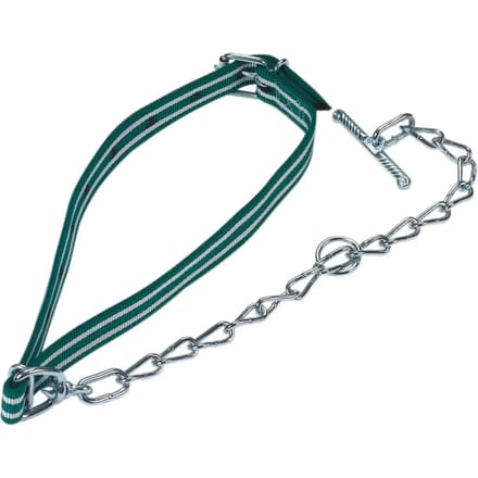 Standaard kuitklem met ketting Kerbl