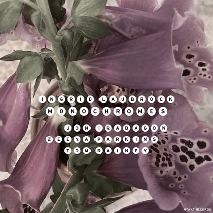 Ingrid Laubrock, Jon Irabagon, Tom Rainey - Monochromes (CD)