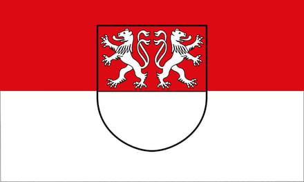 Vlag Witten 100x150cm