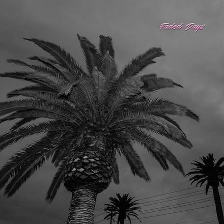 Faded Days - Actual Wolf