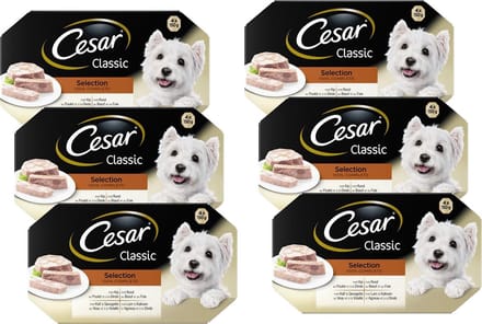 Cesar Classic Selection in Gelei - 6 x 600 gr - Voordeelverpakking