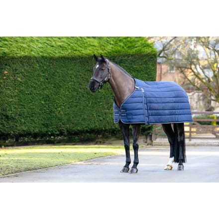 Undercover voor paarden LeMieux Kudos 50g
