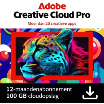 Adobe Creative Cloud Pro | 1 Jaar | 2 Installaties | 100 GB Cloud opslag