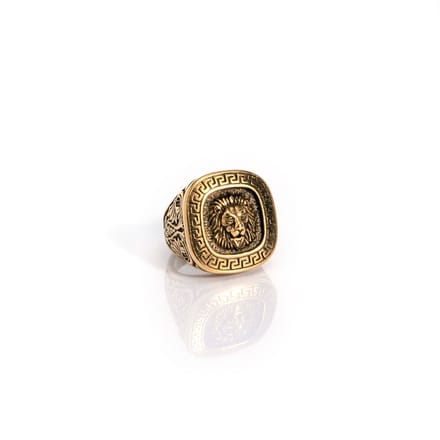 Marenca gouden heren zegel ring met leeuwenkop (M)