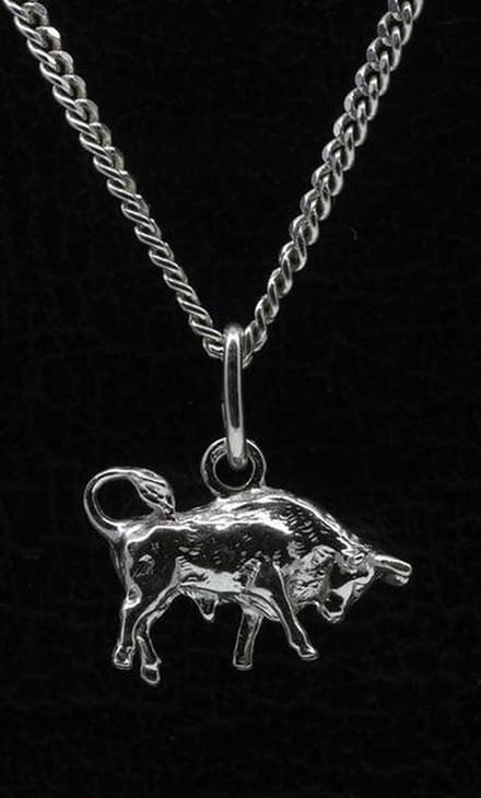Zilveren Sterrenbeeld Stier ketting hanger - klein