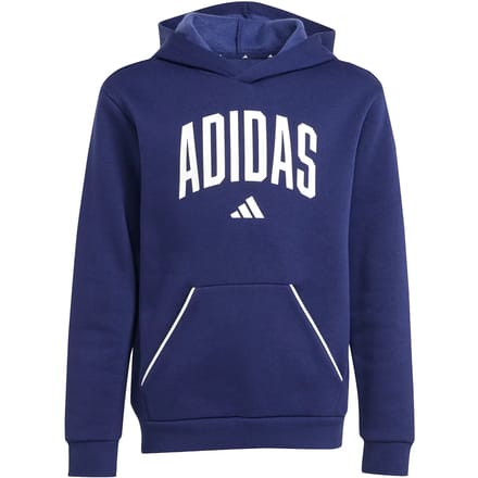 Junior Hoodie adidas Seasonals Essentials Collegiate