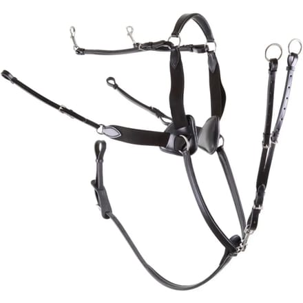 5-punts elastische jachthalsband voor paarden Premiere