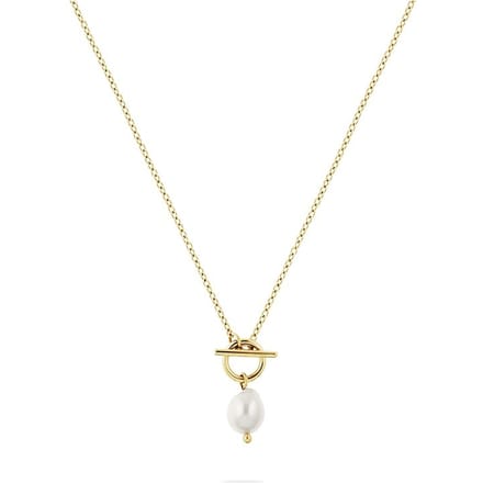 FAVS Ketting 89019427