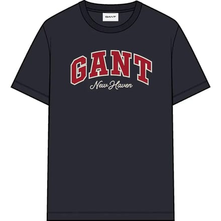 Grafisch T-shirt Gant