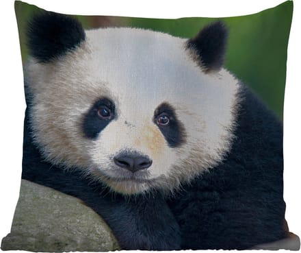Tuinkussen - Panda - Wilde dieren - Portret - Steen - 40x40 cm - Weerbestendig
