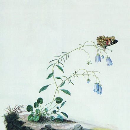Botanist - Encyclopedia Botanica, Vol.1