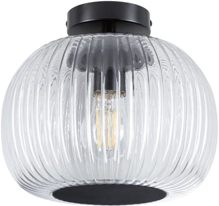 LED-plafondlamp Ruya IP44 E27 230V max. 60W dimbaar Glas, Zwart mat