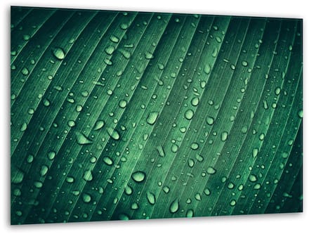 TMK ArtDeko - Snijplank - Glas - 40x30cm - Groen