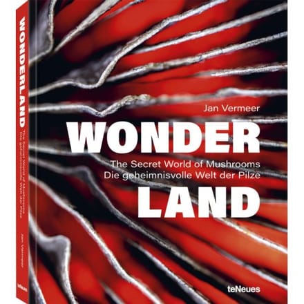 Wonderland - Vermeer, Jan