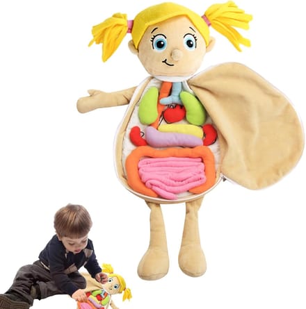 Anatomie Pop - Leren Lichaam - Kind Educatie - Zachte Pluche Vulling - 49 x 33 x 6 cm