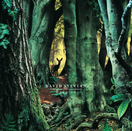 David Sylvian - Manafon (2 LP)