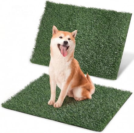 Honden Toilet - Pee Pad - Zindelijkheidstraining - Snelle Drainage - 50 x 63 cm - Groen