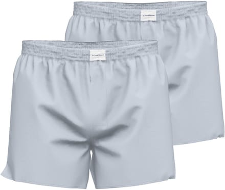 TOM TAILOR heren boxershorts geweven wijd model met gulp (2-pack) - lichtblauw geruit