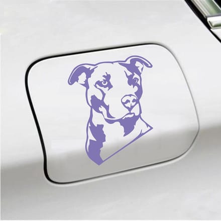 Bumpersticker - Pitbull  - 13 X 11 - Paars
