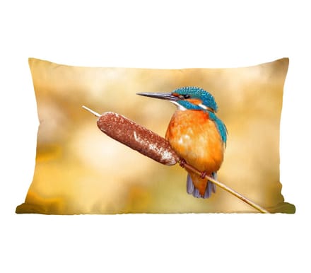 Sierkussens - Kussentjes Woonkamer - 60x40 cm - IJsvogel - Natuur - Vogel