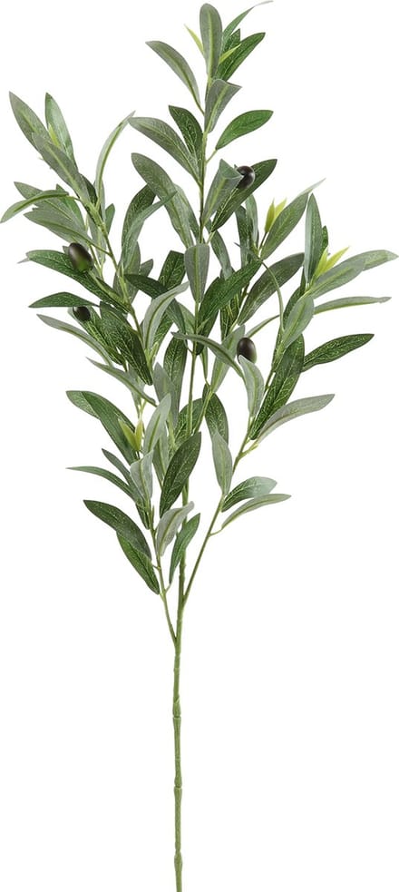 Countryfield Olijf Tak Olea Groen - 90 cm