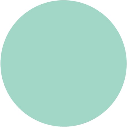 Groovy Magnets Cirkel Magneetsticker - Mint