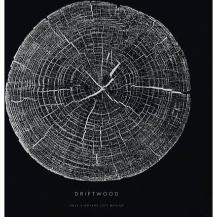 Only Fighters Left Behind - Driftwood