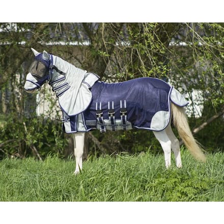 Paardenvliegendeken QHP Falabella
