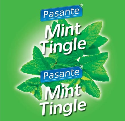 Pasante Mint Flavour Condooms 144 stuks