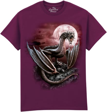 Draak Darius Dragon The Coloured House T-shirt M