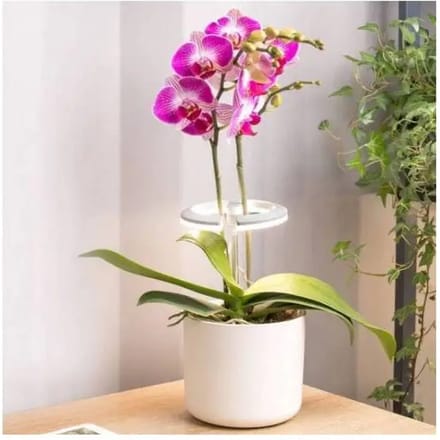 Bijzetlamp voor kamerplanten en orchideeën Bioponis