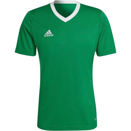 adidas Performance Entrada 22 Voetbalshirt - Heren - Groen- S