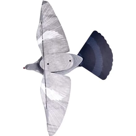 Pigeon trap met flap Stepland (x12)