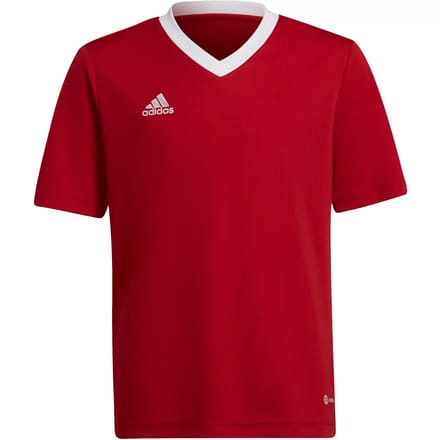 Adidas Entrada 22 SS Shirt Junior - Maat 152
