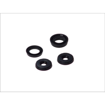 Reparatieset, hoofdremcilinder AUTOFREN SEINSA D1280