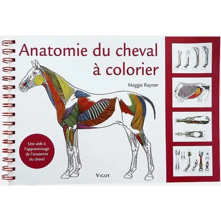 Kleurboek over de anatomie van het paard Vigot