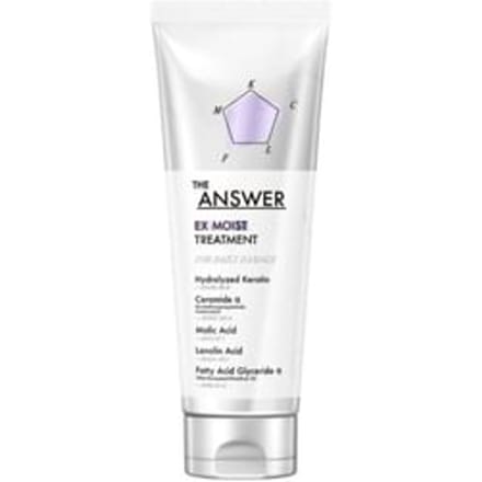 Kao - THE ANSWER EX Moist Treatment For Daily Damage 220g